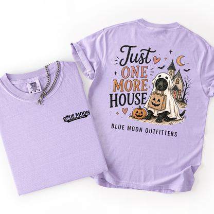 Just One More House