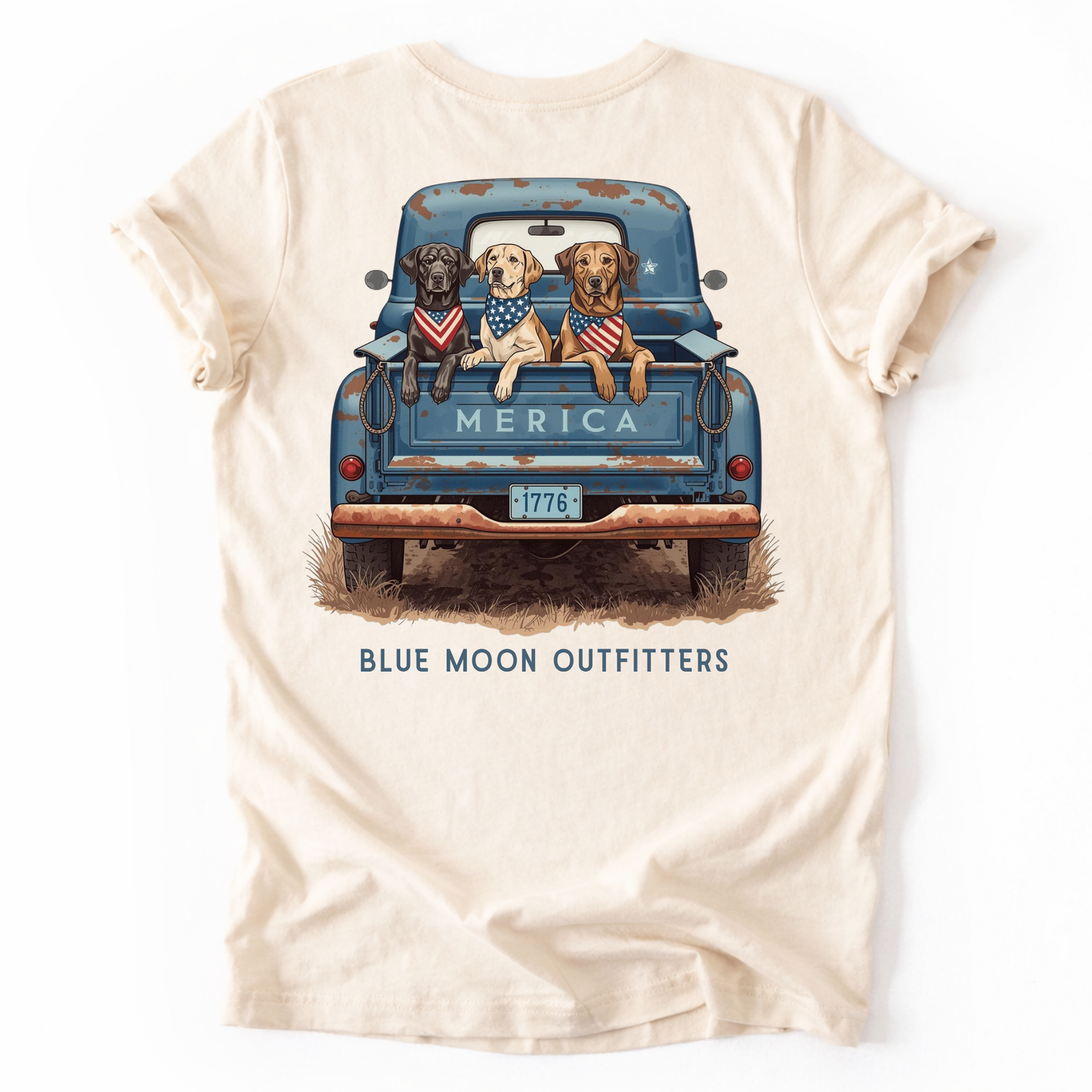 American Truck