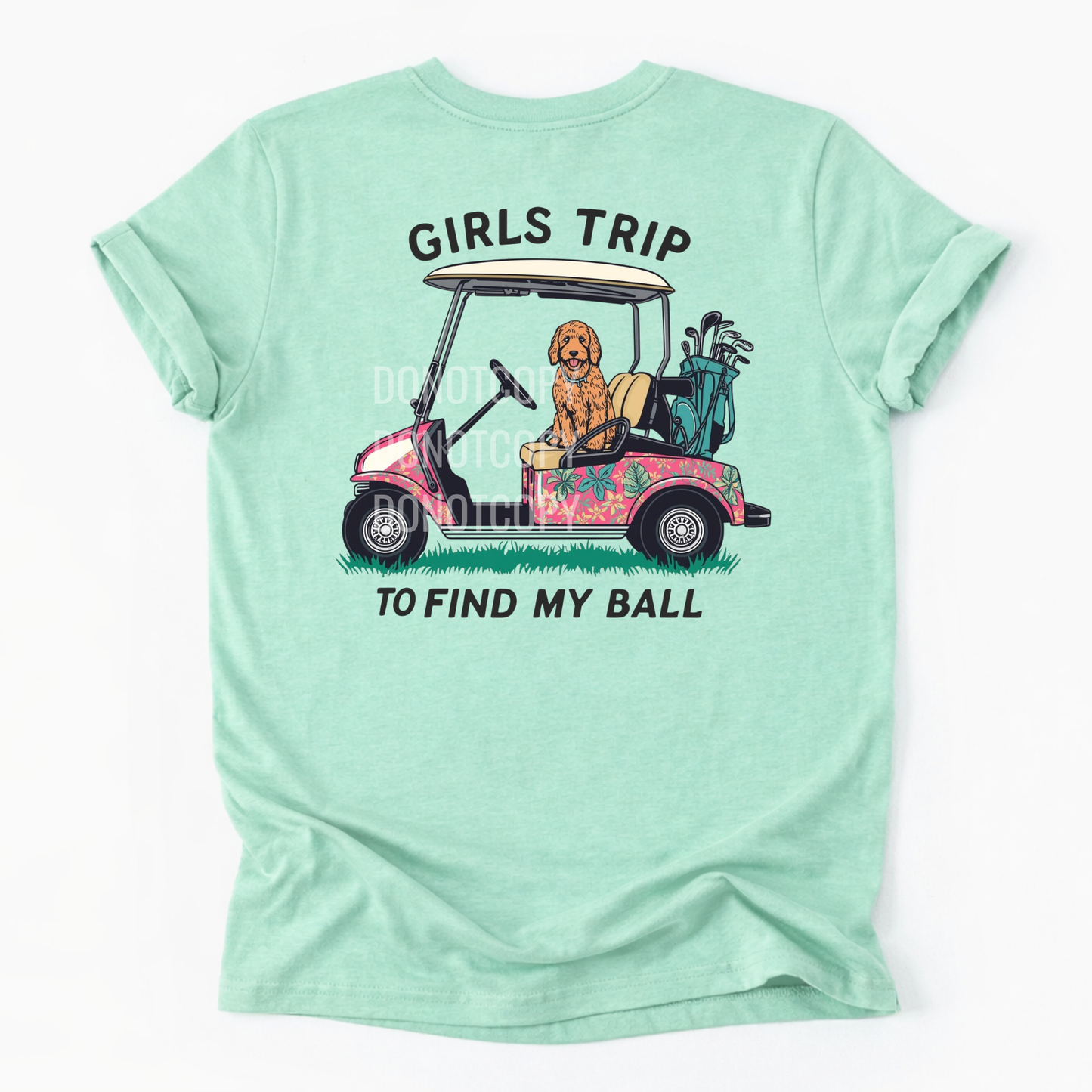 Girls Trip To Find My Ball