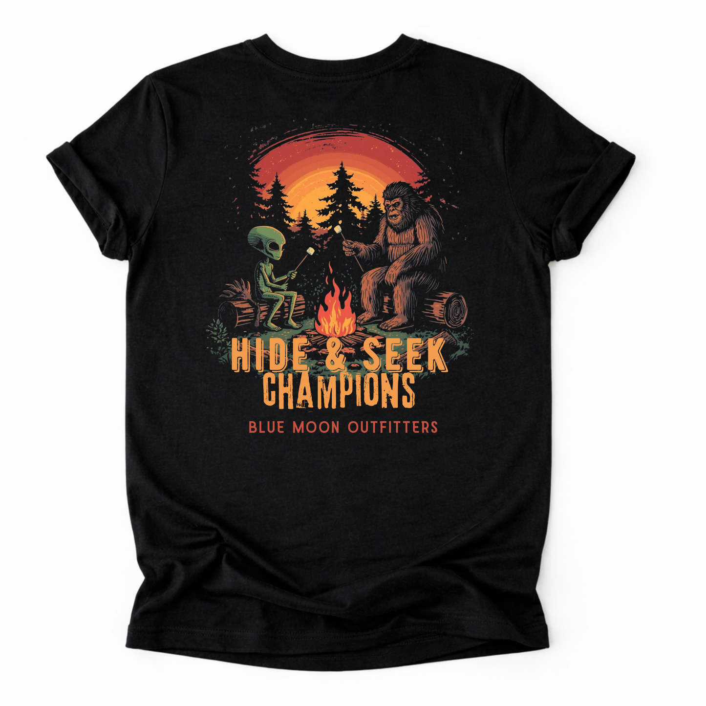 Hide Seek Champions
